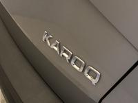 Skoda Karoq Photo 20