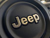 JEEP Avenger Photo 22